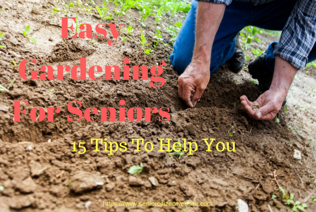 15 easy gardening tips for seniors