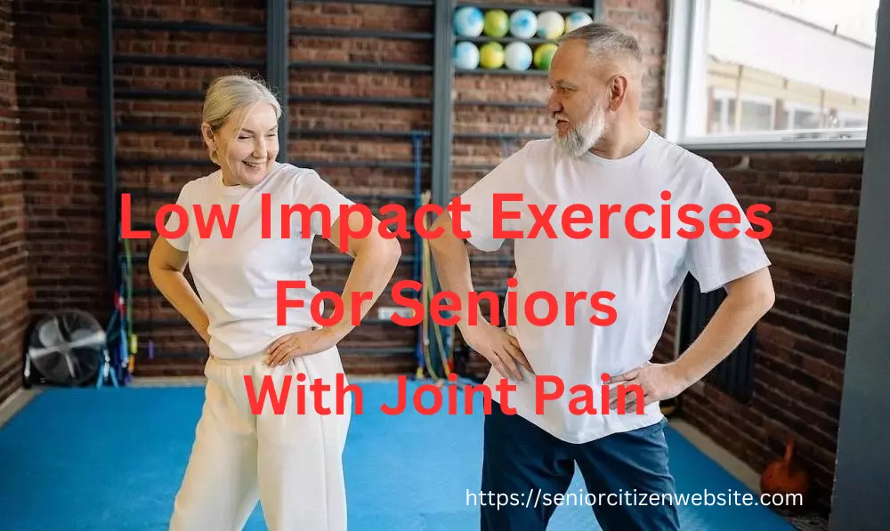 2 senior doing low impact exercises